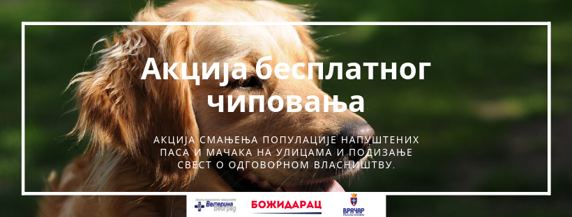Акција бесплатног чиповања, вакцинације и стерилизације  напуштених паса и мачака